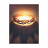 "Crown Of Life" Canvas