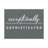"Exceptionally Sophisticated" Canvas
