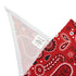 "Rodeo Ready" Dog Bandana
