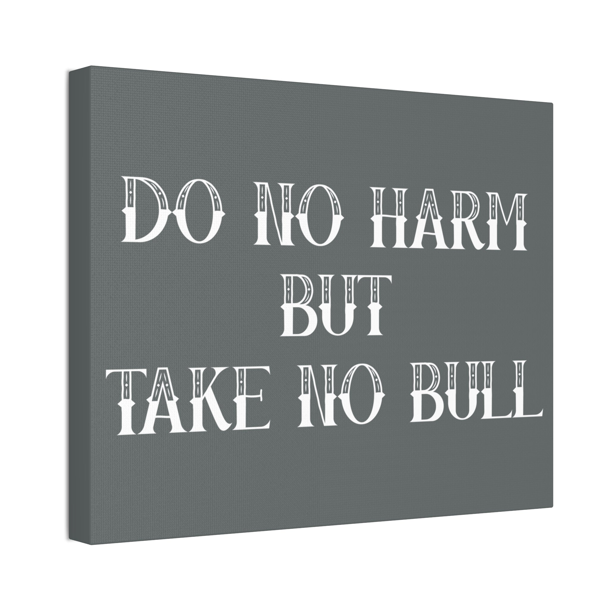 "Take No Bull" Canvas