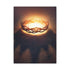 "Crown Of Life" Canvas