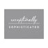 "Exceptionally Sophisticated" Canvas