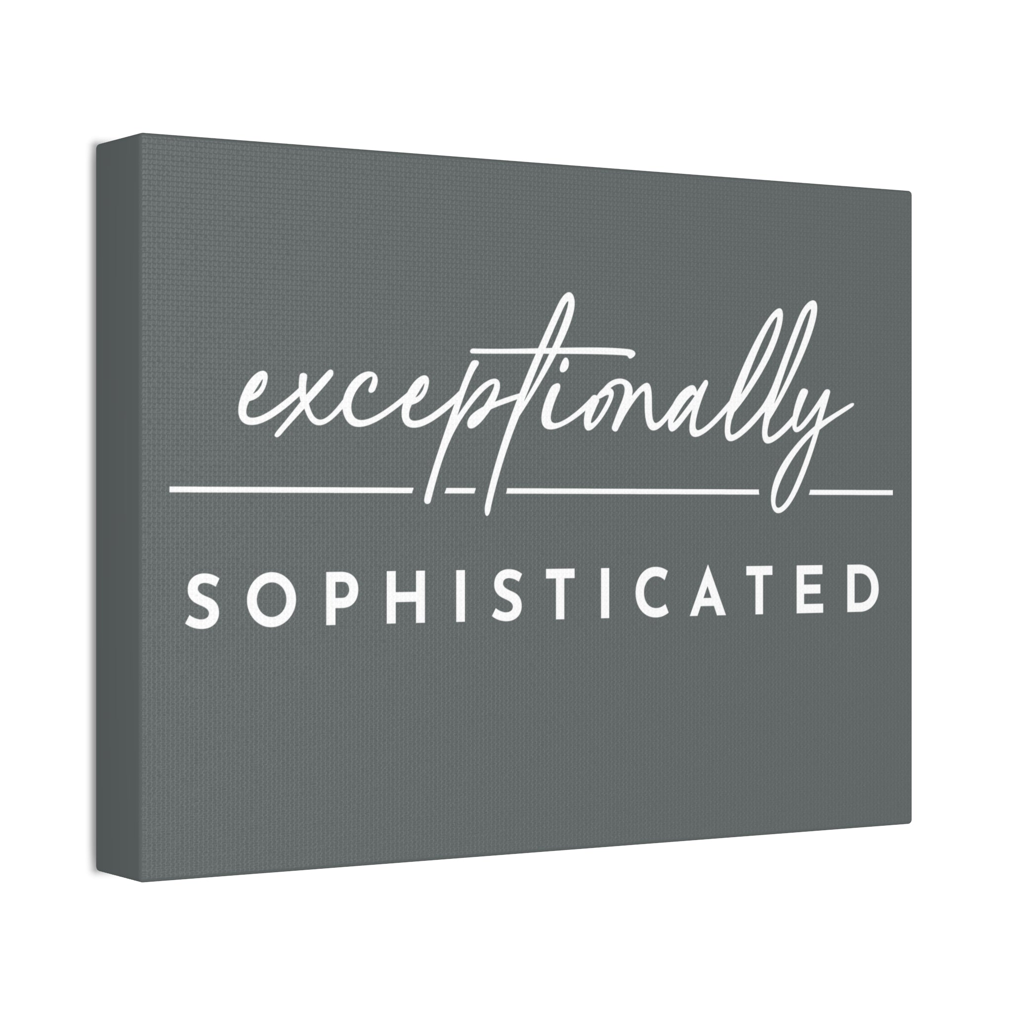 "Exceptionally Sophisticated" Canvas